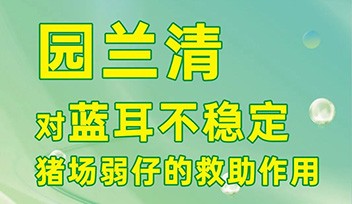 園蘭清對藍耳不穩(wěn)定豬場弱仔的救助作用！