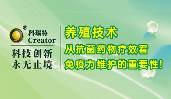 養(yǎng)殖技術(shù)｜從抗菌藥物療效看免疫力維護(hù)的重要性！